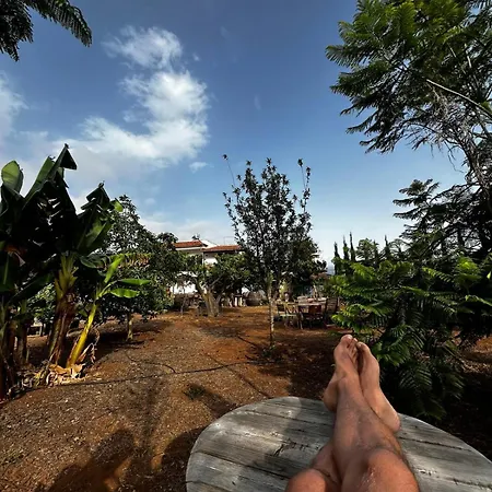Séjour chez l'habitant Vuelve Al Origen - Nomadas Digitales Tegueste