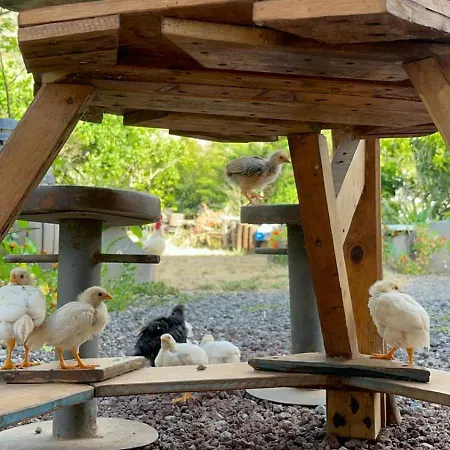 Séjour chez l'habitant Vuelve Al Origen - Nomadas Digitales