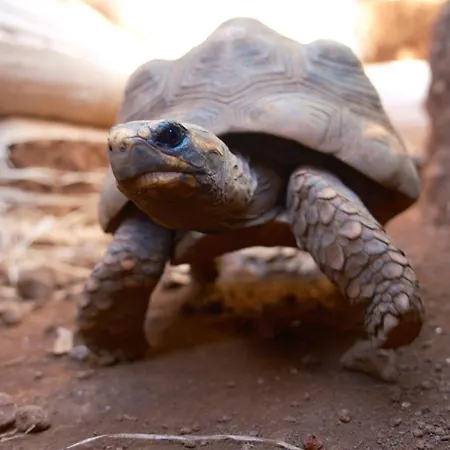 Vuelve Al Origen - Nomadas Digitales Séjour chez l'habitant