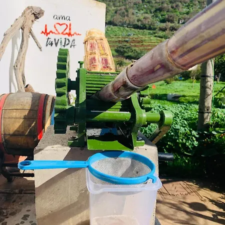 Homestay El Sueno De Mama