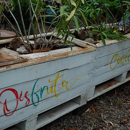 Vuelve Al Origen - Nomadas Digitales Homestay *