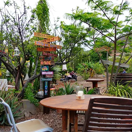 Vuelve Al Origen - Nomadas Digitales Homestay *