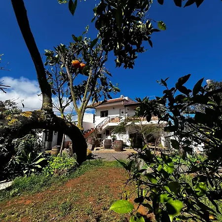 Vuelve Al Origen - Nomadas Digitales Homestay *