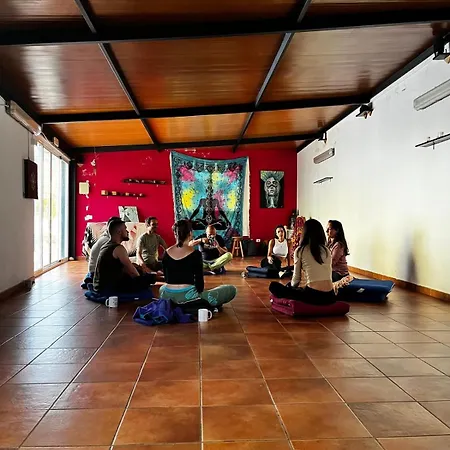 Vuelve Al Origen - Nomadas Digitales Homestay Tegueste