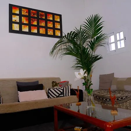 Vuelve Al Origen - Nomadas Digitales Homestay *