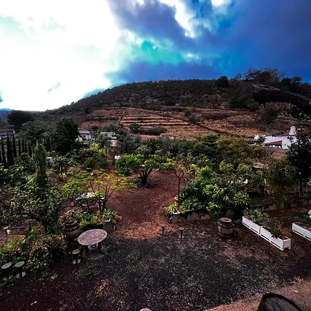 Vuelve Al Origen - Nomadas Digitales Homestay