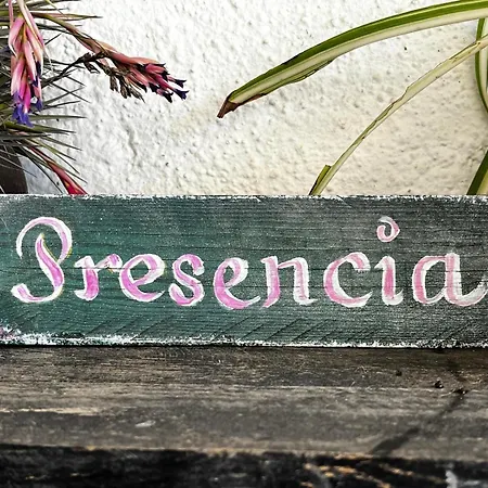 Vuelve Al Origen - Nomadas Digitales Homestay Tegueste
