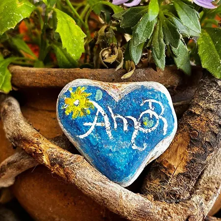 El Sueno De Mama 홈스테이