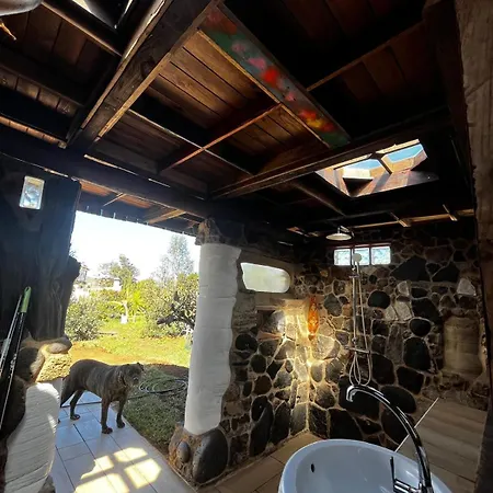 Vuelve Al Origen - Nomadas Digitales Homestay *