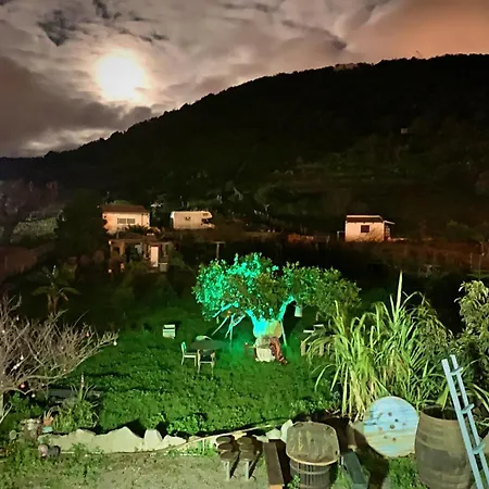 Vuelve Al Origen - Nomadas Digitales Homestay Tegueste