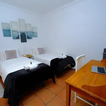 Vuelve Al Origen - Nomadas Digitales Homestay Tegueste