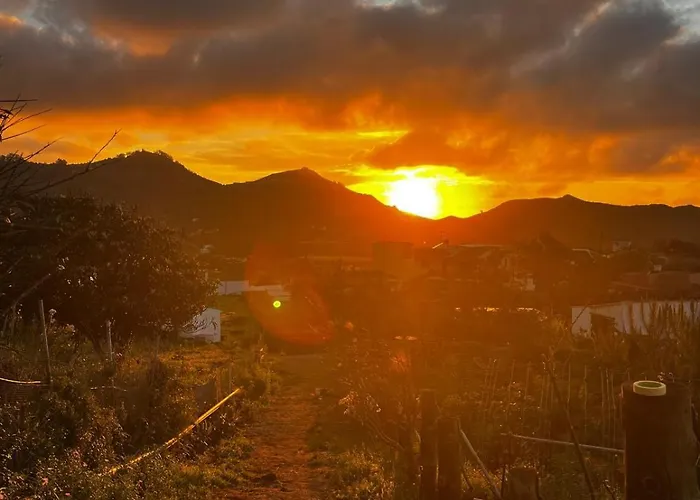 Privat bolig El Sueno De Mama