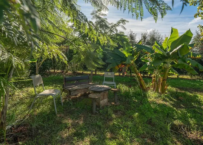 Privat bolig El Sueno De Mama *