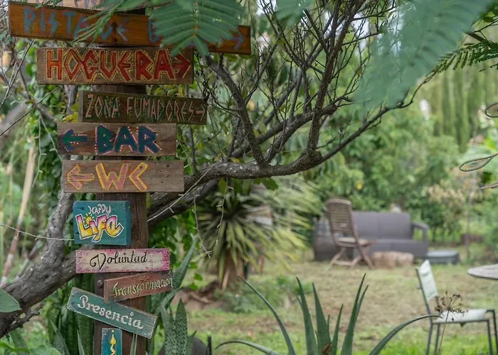 El Sueño De Mamá Tegueste